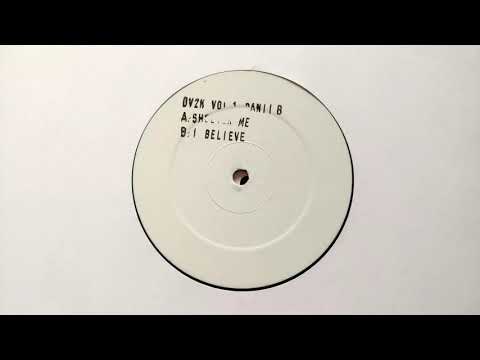 Danii B — Danii - Shelter Me (2Eyes Remix) // DV2K (2000)
