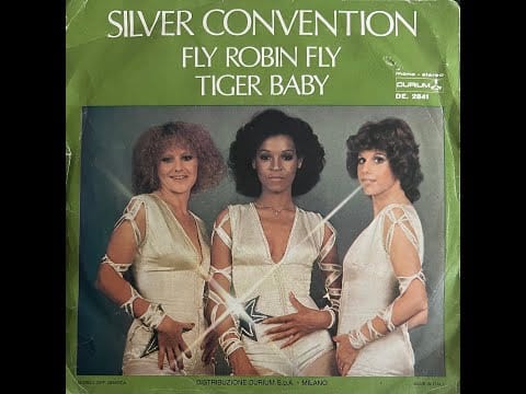 Silver Convention — Silver Convention - Tiger Baby (1975 Vinyl)
