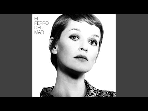 El Perro del Mar — Party