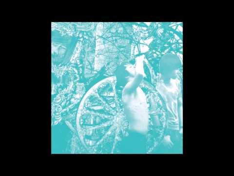Deerhunter — Deerhunter - Weird Era Cont. (Full Album)
