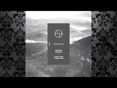 Eric Fetcher — Eric Fetcher - Magnetic Fields (Original Mix) [POLEGROUP]