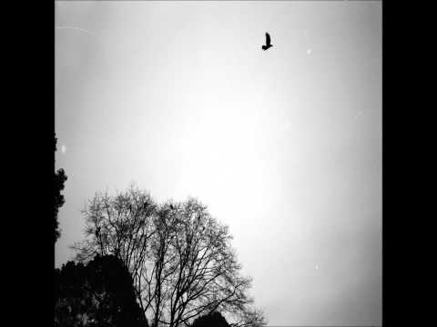 Black Skies (2) — Black Skies- Rebirth