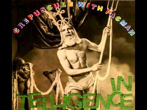 Intelligence — the intelligence - i walk in a lonely light