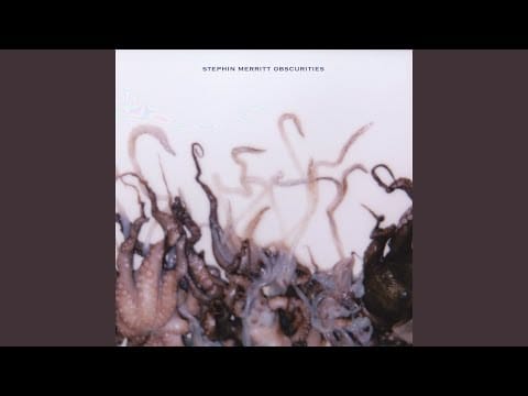 Stephin Merritt — I Don't Believe You (7" Version)