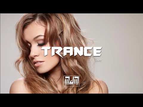 Indecent Noise — Indecent Noise - Kamehameha (Tokyo Version)
