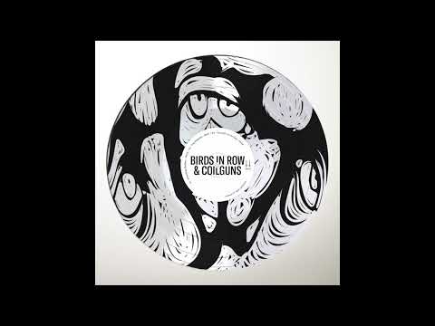 Birds In Row — Birds in Row & Coilguns - You and I in the Gap (Official Audio)