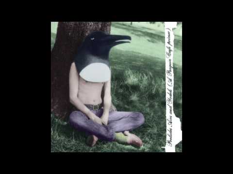 Penguin Cafe Orchestra — Penguin Cafe Orchestra - Penguin Cafe Single