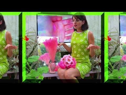 Nedelle Torrisi — Advice From Paradise Starring Nedelle Torrisi and Nick Diamonds (Ep. 2)