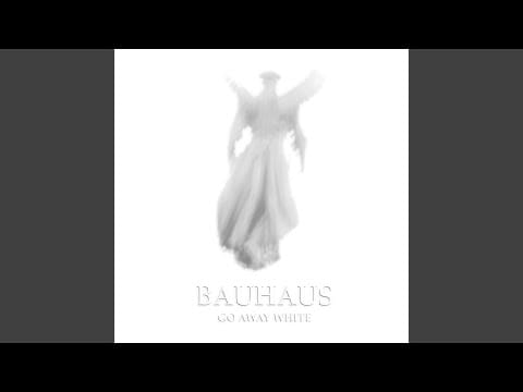 Bauhaus — International Bullet Proof Talent