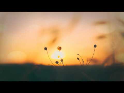School of Seven Bells — School of Seven Bells - On My Heart
