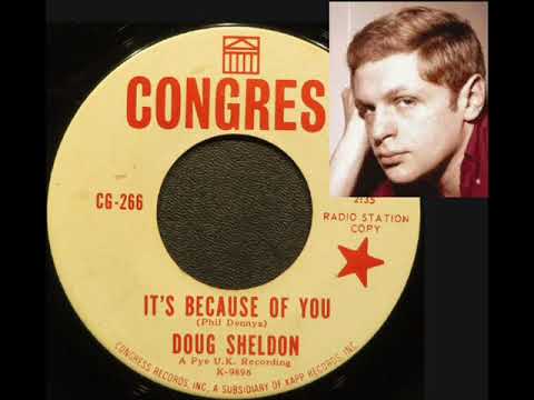 Doug Sheldon — Doug Sheldon  - It's because of you  - dec 1965