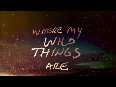 Ryan Bingham — Where My Wild Things Are (lyric video)