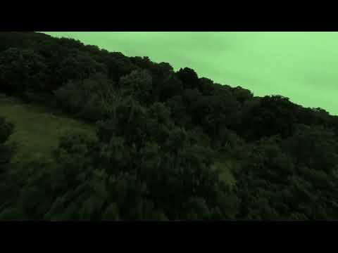 The WAEVE — Over And Over