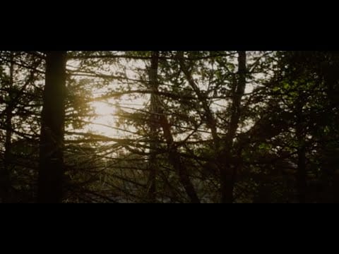 Jesse Matas — Jesse Matas - Tamarack (Official Music Video)