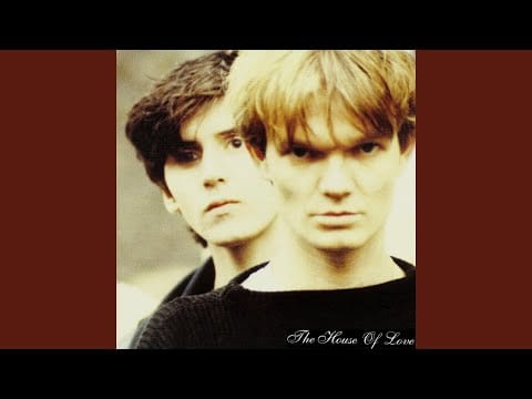 The House Of Love — Welt