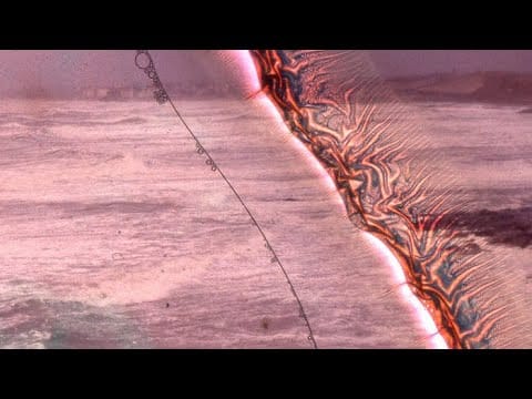 Ellah A. Thaun — Ellah a. Thaun - Télépathine (Visualizer)