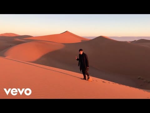 Spector — Fine Not Fine
