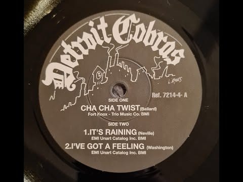 The Detroit Cobras — The Detroit Cobras - Cha Cha Twist - 7 inch vinyl single