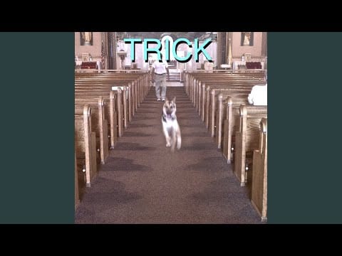 Alex G (2) — Sarah