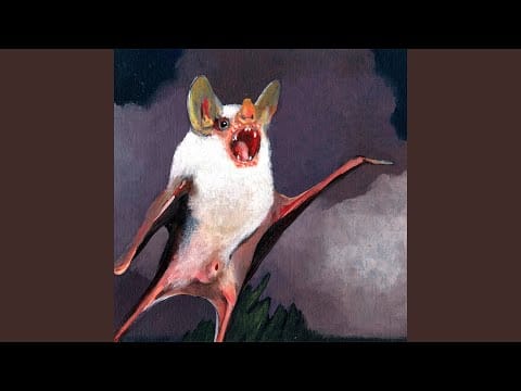 Ninos Du Brasil — Vagalumes Piralampos (feat. Arto Lindsay)