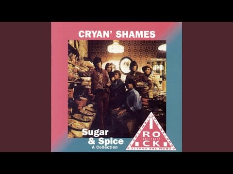 The Cryan' Shames — Rainmaker (45 Version Remix)