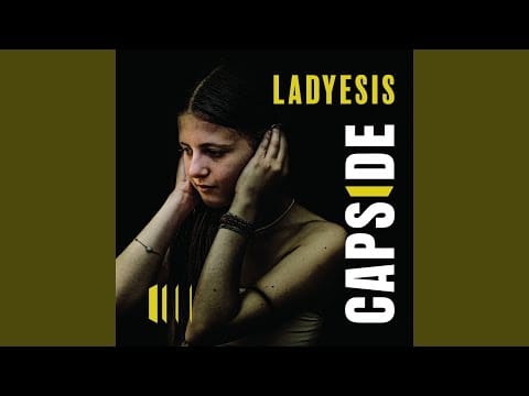 Capside (2) — Termiti