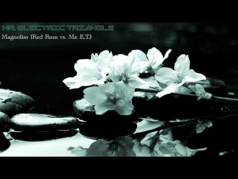 Mr. Electric Triangle — Mr. Electric Triangle - Magnolias