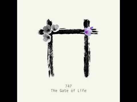 747 — 747 - The Gate Of Life [Aquaregia]
