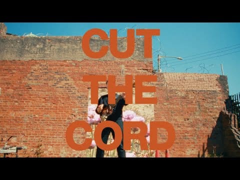 Vistas — Cut The Cord