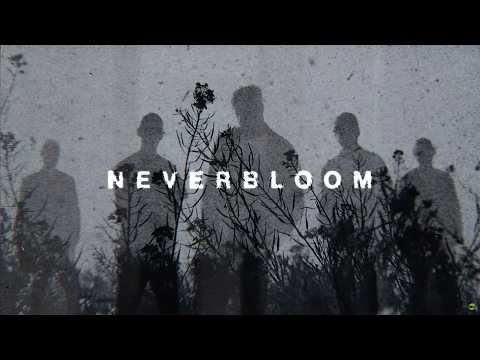 Rain City Drive — Rain City Drive - Neverbloom (Official Lyric Video)