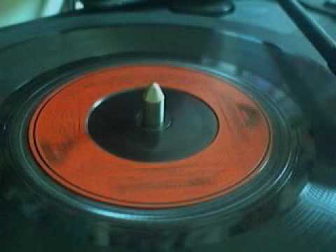 Terry Sylvester — Terry Sylvester -  I Believe (when I fall in love it will be forever)