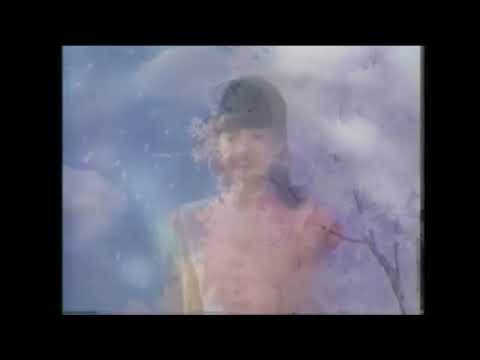 Bodyline — b o d y l i n e - ｆｅｓｔｉｖａｌ