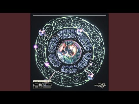 Shoal — Sinar