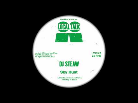 DJ Steaw — DJ Steaw - Sky Hunt (12'' - LT013, Side B) - 2012