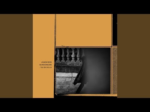 Joakim Berg — Blindgångare