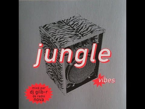 DJ Gilb'R — DJ Gilb'R – Jungle Vibes (1994)
