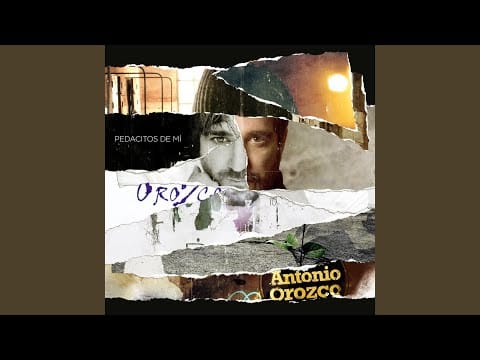 Lucie Silvas — What You're Made Of (Spanish Version)
