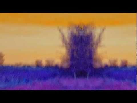 The Church — The Gardener (The Church Band)