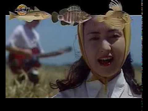 Alfredo Casero — Alfredo Casero - Shima Uta