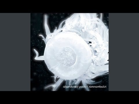 Abandoned Pools — Breaking Horses