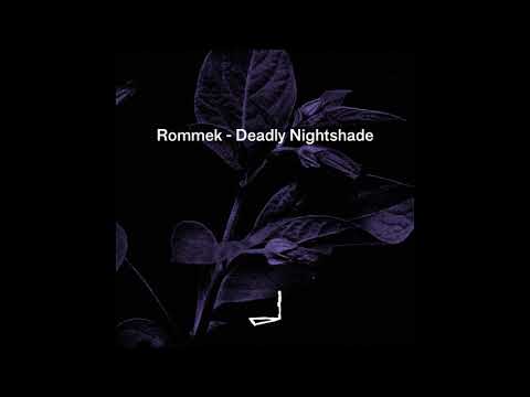 Rommek — Rommek - Twisted Conscience [LEYLA011]