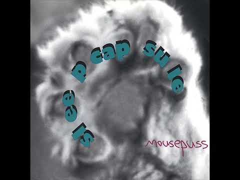 Sleep Capsule — Sleep Capsule - Thousand Trails