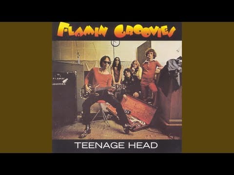 The Flamin' Groovies — Doctor Boogie