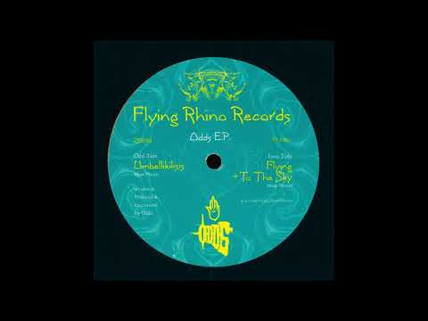 Odds — Odds - Flying + To The Sky [ZFR004]