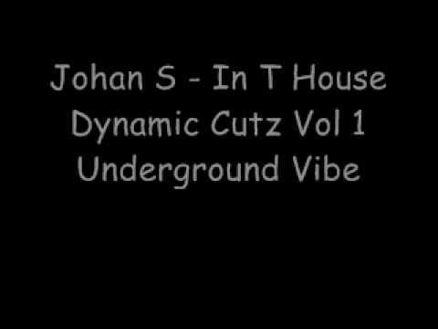 Johan S. — Johan S - In T House (Dynamic Cutz Vol 1)