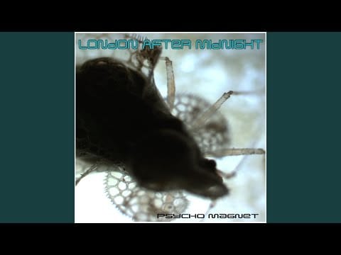 London After Midnight — Carry on Screaming (Ruins)