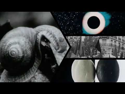 Singapore Sling — Singapore Sling - Touch The Filth (Official Video)