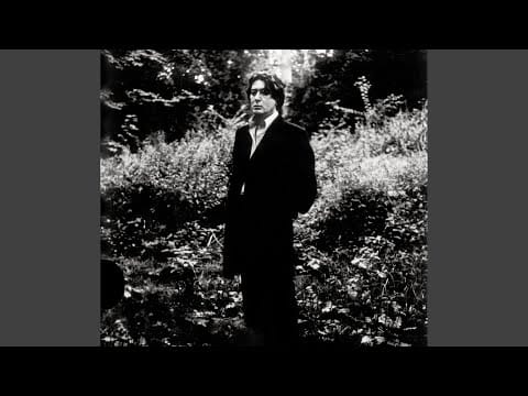 Alain Bashung — L'Imprudence