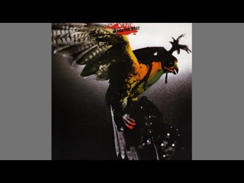 Budgie — Budgie- Zoom Club