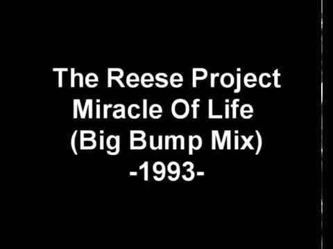 The Reese Project — Reese Project, The - The Miracle Of Life (Big Bump Mix)